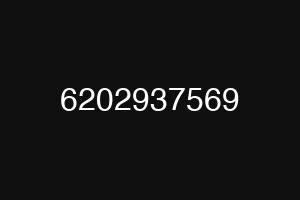 6202937569