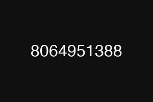 8064951388
