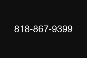 818-867-9399
