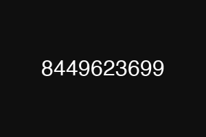 8449623699