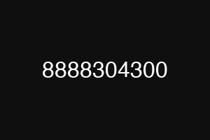 8888304300
