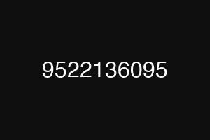 9522136095