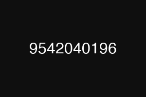 9542040196